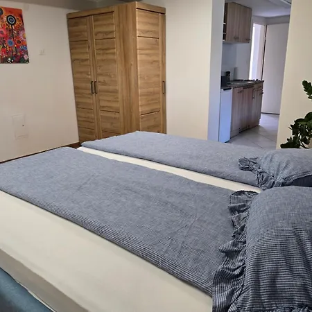 Apartament Hisa Dolgi